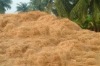 Coconut Fiber manufacturer