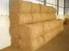 Coconut Fibre