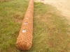 Coconut Log
