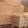 Coconut coir fiber