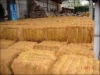 Coconut coir fibre