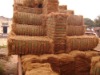 Coir Fiber / Coconut Fiber