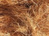 Coir Fibre