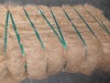 Coir Mattress Fiber