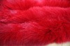 Collar fox fur