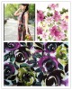 Colorful Printed Polyester Cotton Fabric