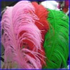 Colorfull Ostrich Feather Hair Extensions