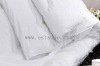 Comfortable and Warmly 100% Mulberry Silk Duvet