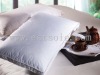 Comforter Silk Pillow