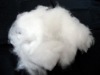 Common Fibers