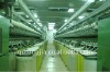 Complete Spinning Plant for Sale(Cotton Spinning Machine)