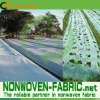 Composite spunbonded PP tnt Fabrics