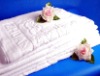 Cotton Hotel Towel