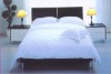 Cotton Hotel bed sheet set