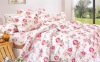 Cotton Pigment Printing Bedding Set/Duvet Cover Set/Bed Cover Set/Pillow Cover