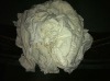 Cotton Rags