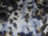 Cotton Spandex Corduroy Printed Fabric