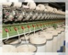 Cotton Yarn