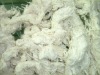 Cotton Yarn Waste