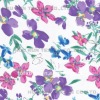 Cotton fabric for underwear