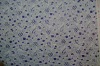 Cotton lace