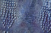 Crocodile pattern leather