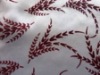 Curtain