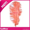 Custom ostrich feathers