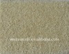 Cut Piles PP Tufted Carpet