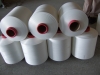 DTY-450D/144F cationic yarn (SIM)