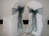 Dark Hunter  Green Organza Sash