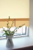 Daylight roller blind