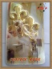 Decorative Golden curtain hooks,Curtain tieback hook