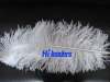 Decorative Male Ostrich Feather