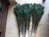 Decorative Natural Color Peacock Feather With Eyes