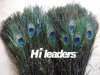 Decorative Natural Peacock Feather with Eyes