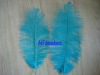 Decorative Ostrich Feather