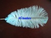 Decorative Ostrich Feather