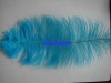 Decorative Ostrich Feather