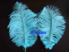 Decorative Ostrich Feather