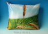 Decorative Printed Pillows