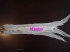 Decorative Silver Pheasant Side Tail Feather