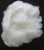 Dehaired cashmere fiber