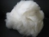 Dehaired cashmere fiber