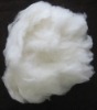 Dehaired cashmere fiber white 100%