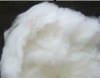 Deharied White Cashmere Fiber