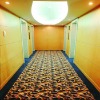 Deluxe wilton hotel carpet