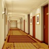 Deluxe wilton hotel carpet