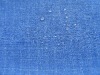 Dentik garment fabric