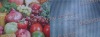 Digital Direct Printing Flag Fabric